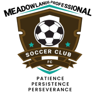 MSClogo