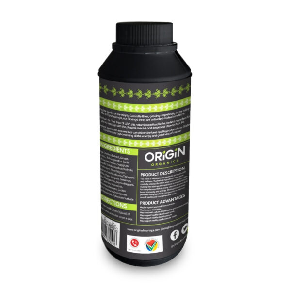 Powerful Moringa Extract Concentrate | Immune Support Tonic (500ml) - Image 4
